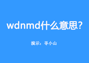 wdnmd什么意思