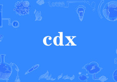 cdx什么意思