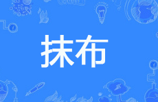 抹布是什么意思